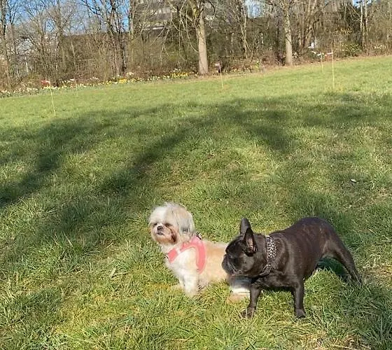 게스트하우스 Pagalies