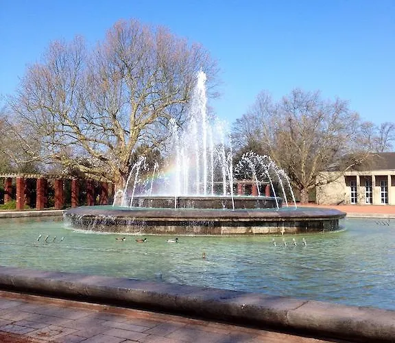 Pagalies 뒤셀도르프