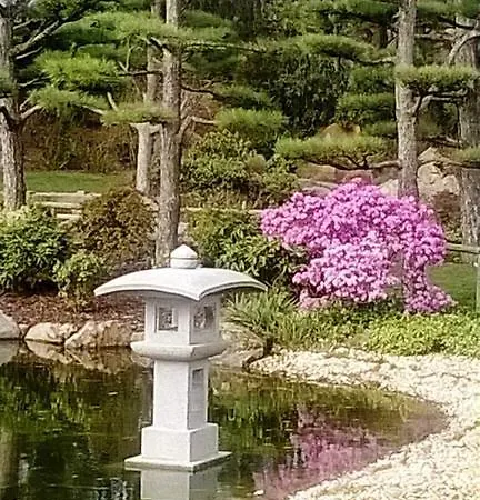 Pagalies Affittacamere Düsseldorf