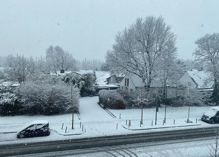 Pagalies Düsseldorf